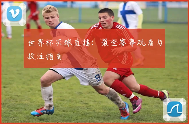 世界杯买球直播：最全赛事观看与投注指南